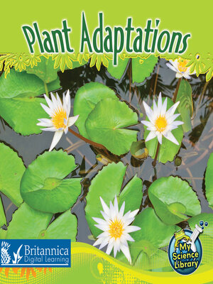 cover image of Plant Adaptations